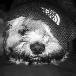 Meet your Posher, Keona